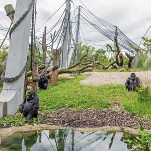 Projekt Zoo Basel
